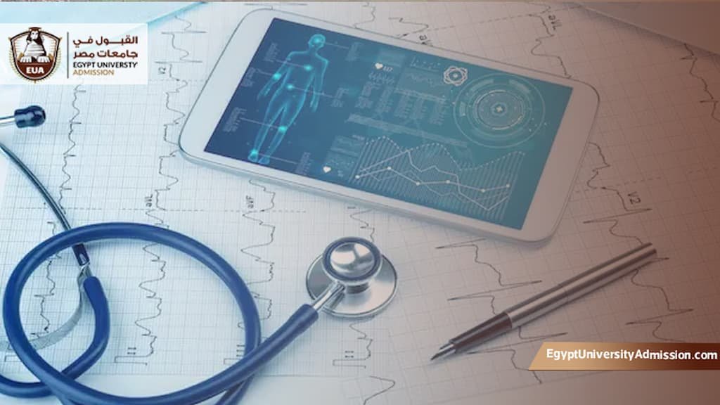 زمالة المعلوماتية الصحية للتمريض