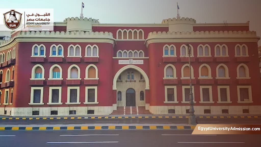 شروط الماجستير في جامعة الاسكندرية