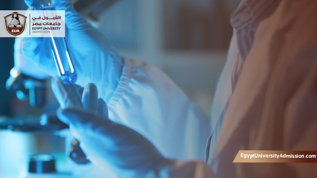 عدد سنوات دراسة العلوم الصحية في مصر