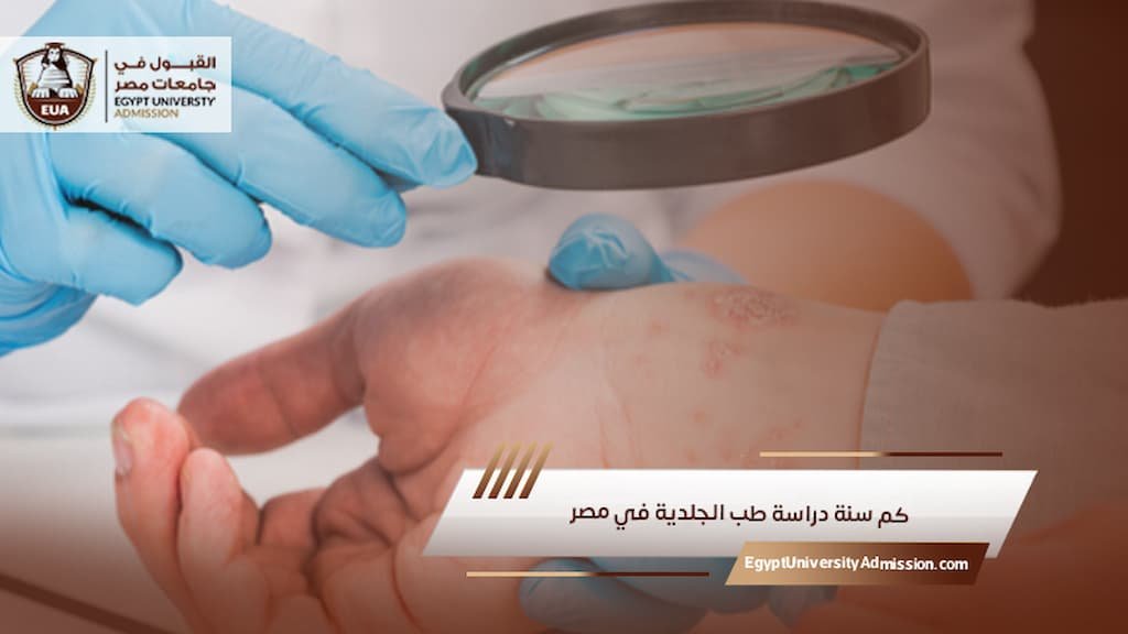 كم سنة دراسة طب الجلدية في مصر