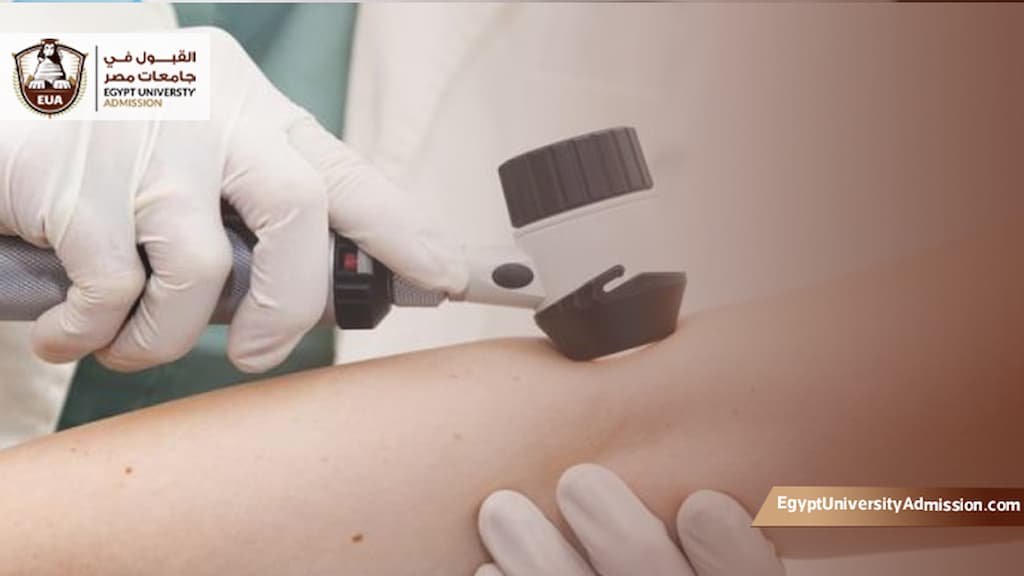 كم سنة دراسة طب الجلدية في مصر