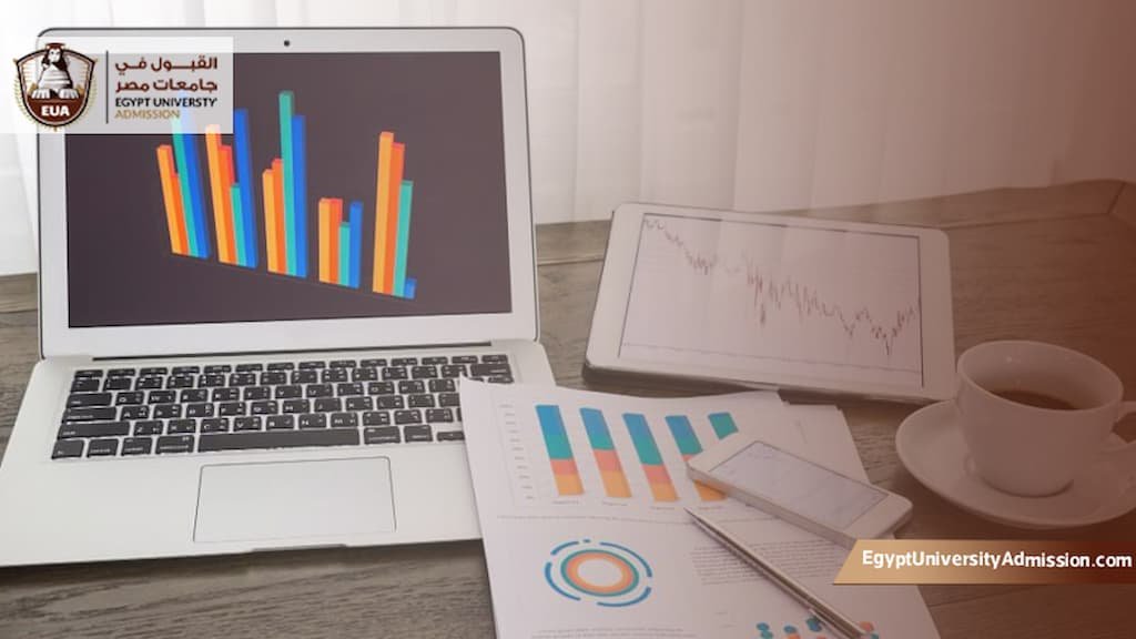 ماجستير تحليل البيانات جامعة القاهرة