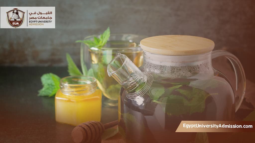 ماجستير تغذية علاجية في مصر