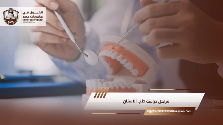مراحل دراسة طب الاسنان