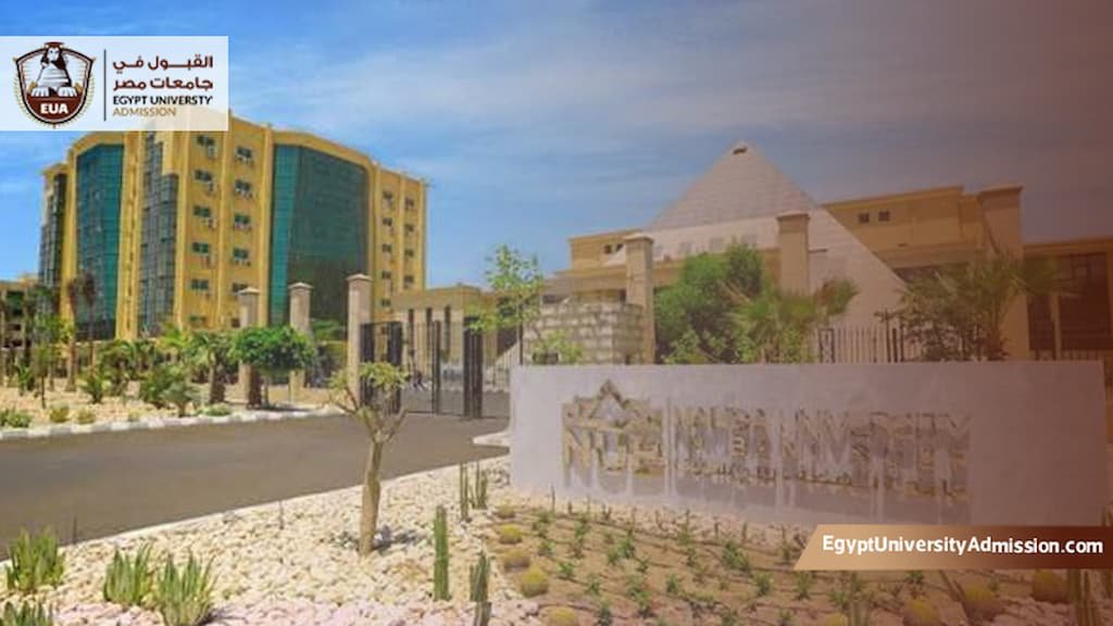 مصاريف جامعة النهضة للوافدين