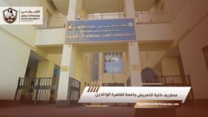 مصاريف كلية التمريض جامعة القاهرة للوافدين