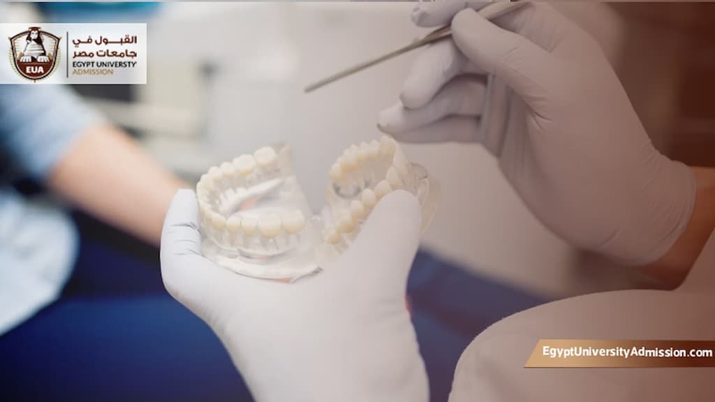 مصاريف كلية طب الأسنان الحكومية