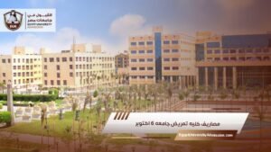 مصاريف كليه تمريض جامعه ٦ اكتوبر