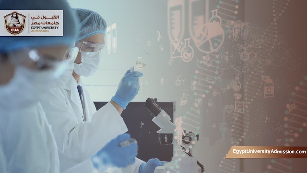 هل الهندسة الطبية الحيوية لها مستقبل