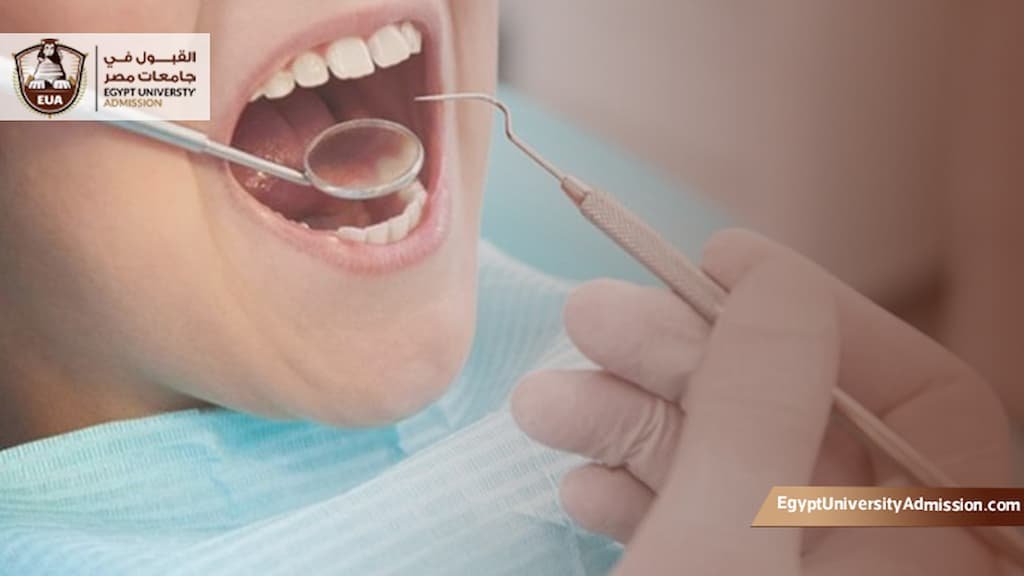 أرخص دولة لدراسة طب الأسنان