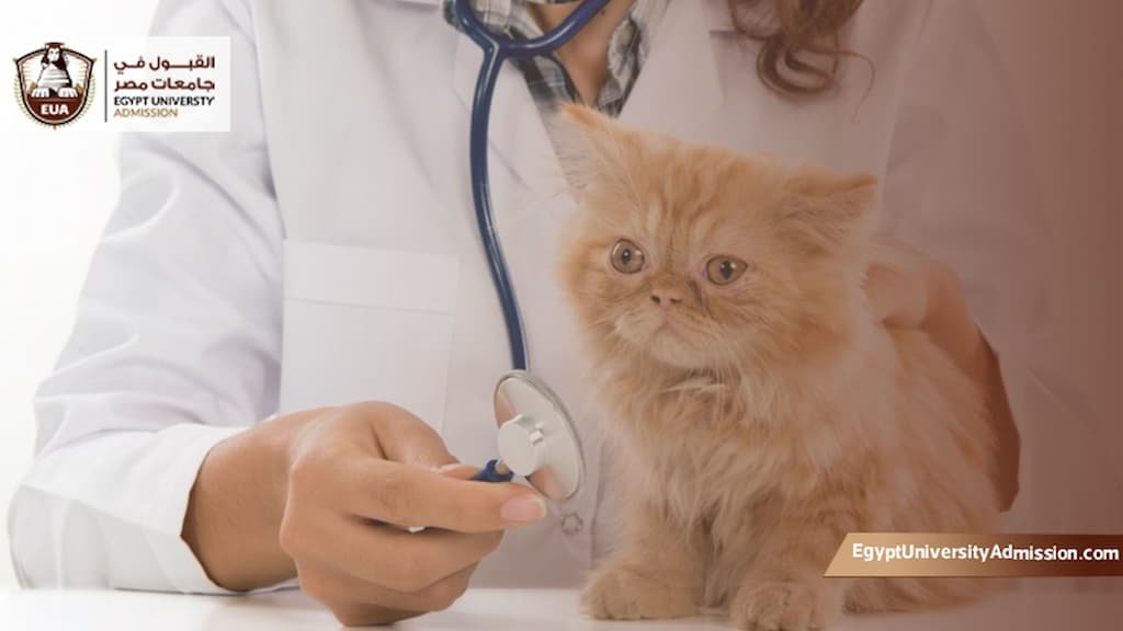 أرخص كلية طب بيطري خاصة في مصر