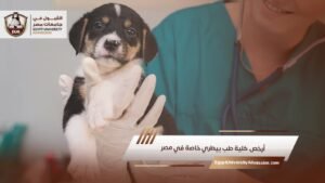 أرخص كلية طب بيطري خاصة في مصر
