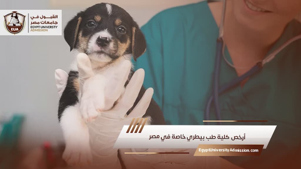 أرخص كلية طب بيطري خاصة في مصر
