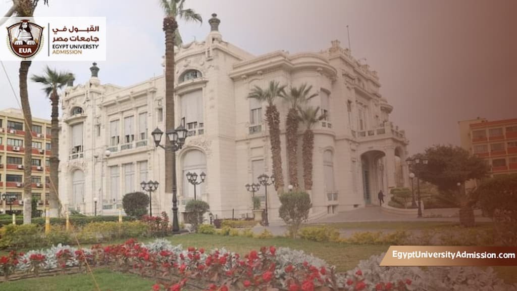 التسجيل في جامعة عين شمس