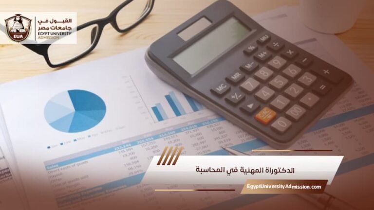 الدكتوراة المهنية في المحاسبة