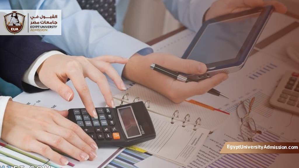 الدكتوراة المهنية في المحاسبة