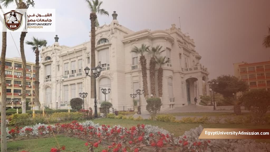 دراسة الماجستير في جامعة عين شمس