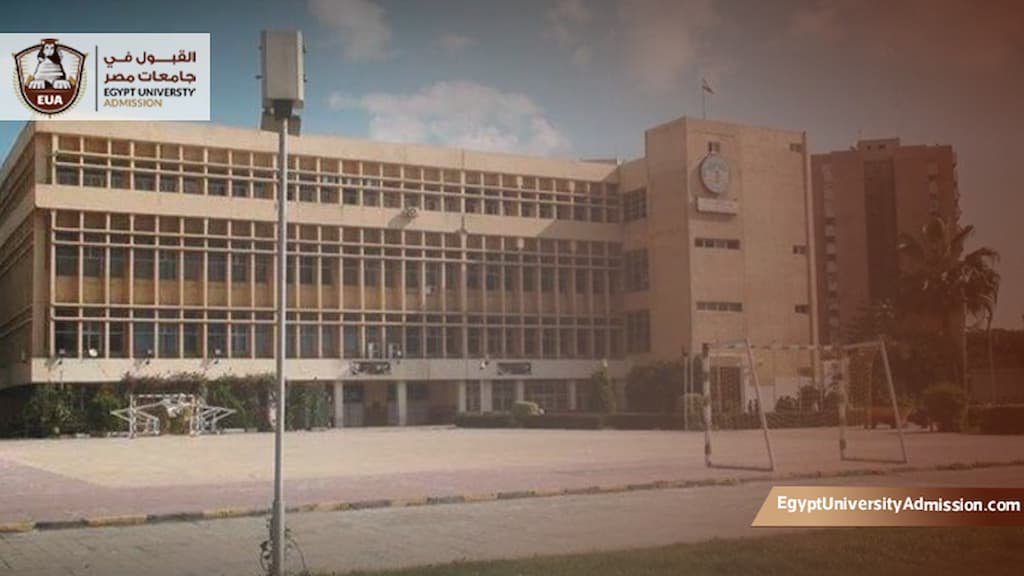 أقسام كلية اقتصاد وعلوم سياسية جامعة الإسكندرية