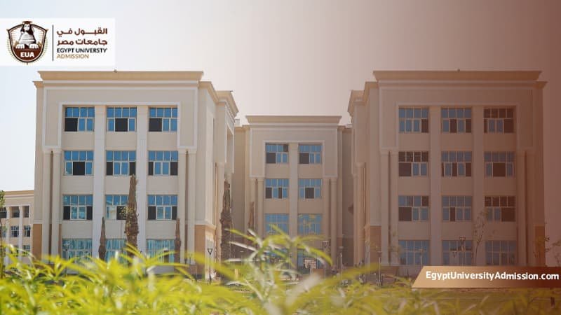 التسجيل في جامعة المنصورة الأهلية