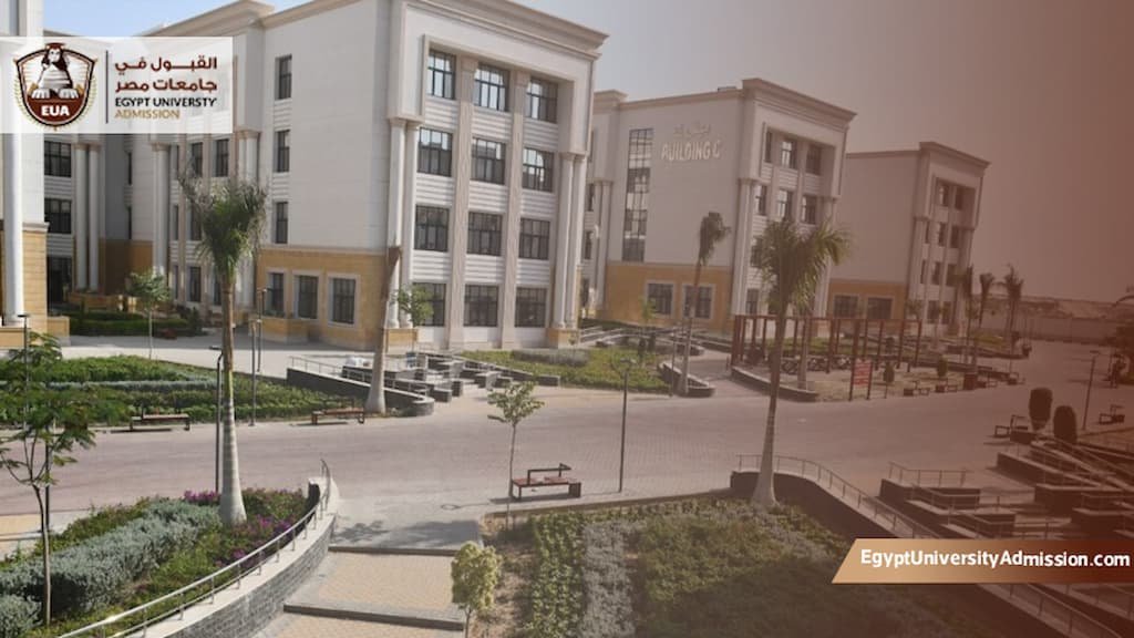 التقديم فى جامعة الاسماعيلية الاهلية