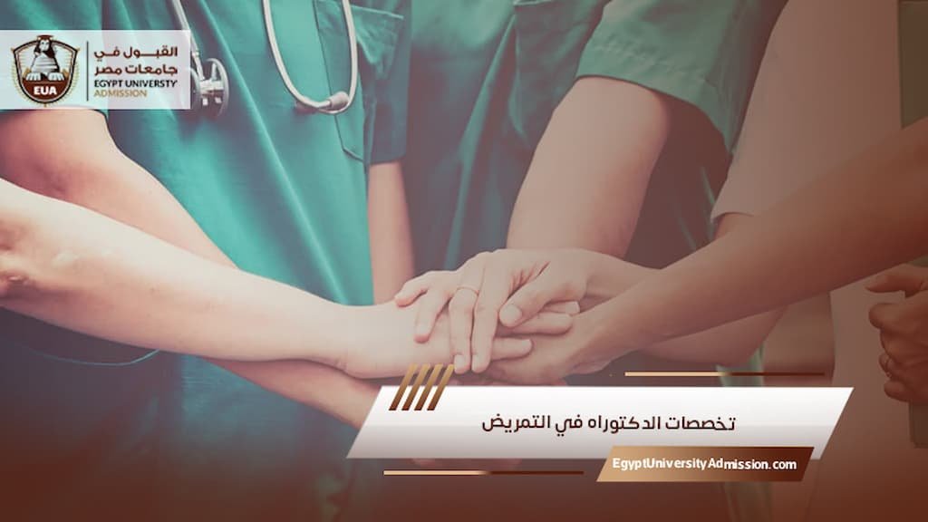 تخصصات الدكتوراه في التمريض