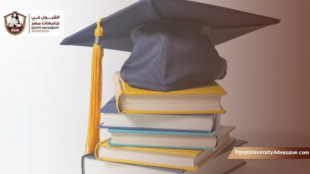 جامعة عين شمس ماجستير عن بعد