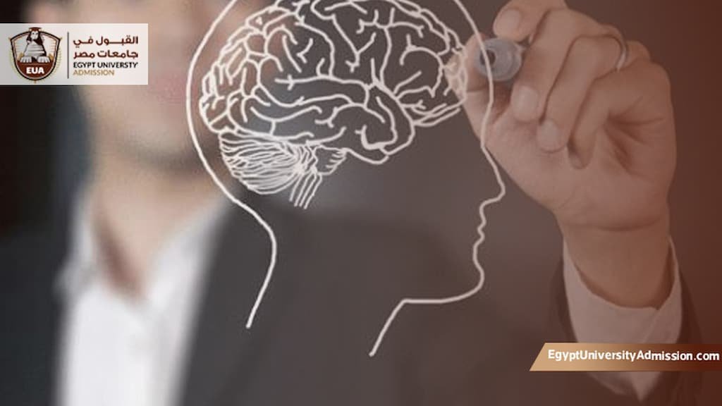 دبلوم الصحة النفسية بجامعة عين شمس