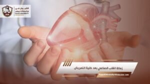 زمالة القلب الصناعي بعد كلية التمريض