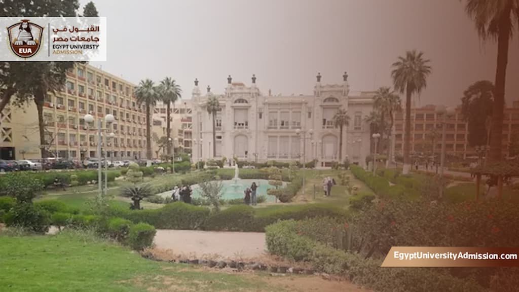 كلية الحاسبات والمعلومات جامعة عين شمس