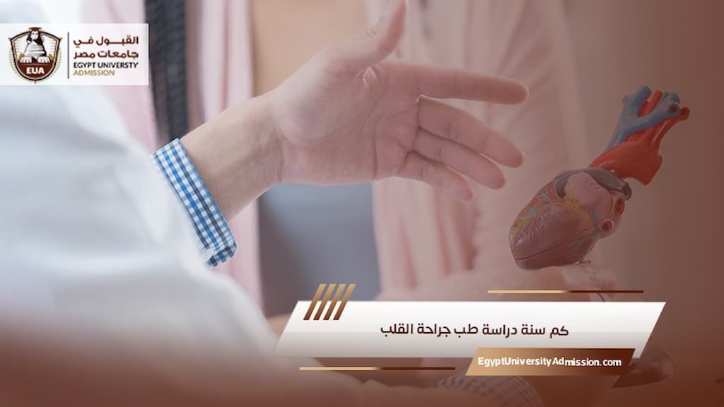 كم سنة دراسة طب جراحة القلب