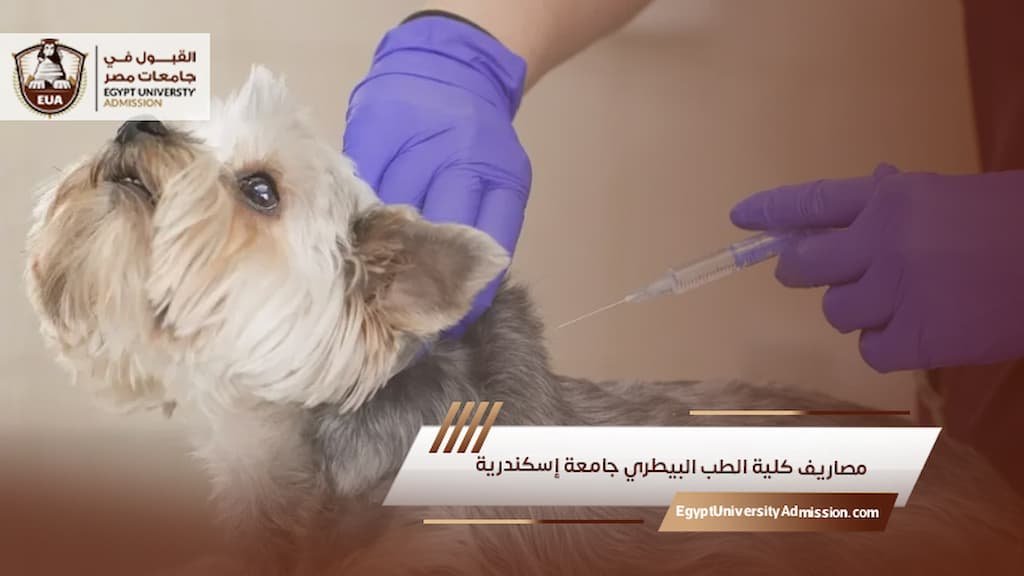مصاريف كلية الطب البيطري جامعة إسكندرية