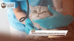 مصاريف كلية الطب البيطري جامعة القاهرة الحكومية