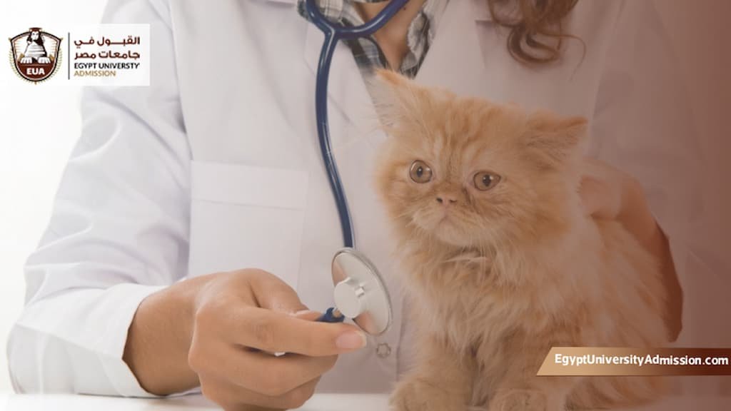 مصاريف كلية الطب البيطري جامعة القاهرة الحكومية