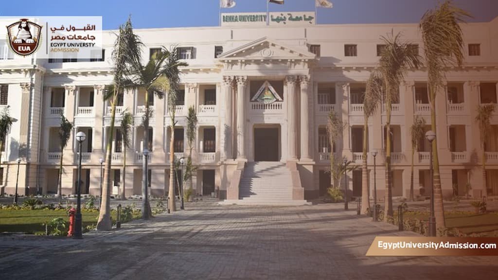 مصاريف كلية حاسبات ومعلومات بنها
