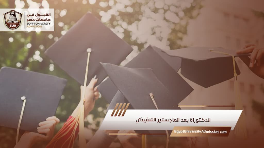 الدكتوراة بعد الماجستير التنفيذي