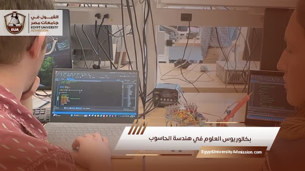 بكالوريوس العلوم في هندسة ال       وب