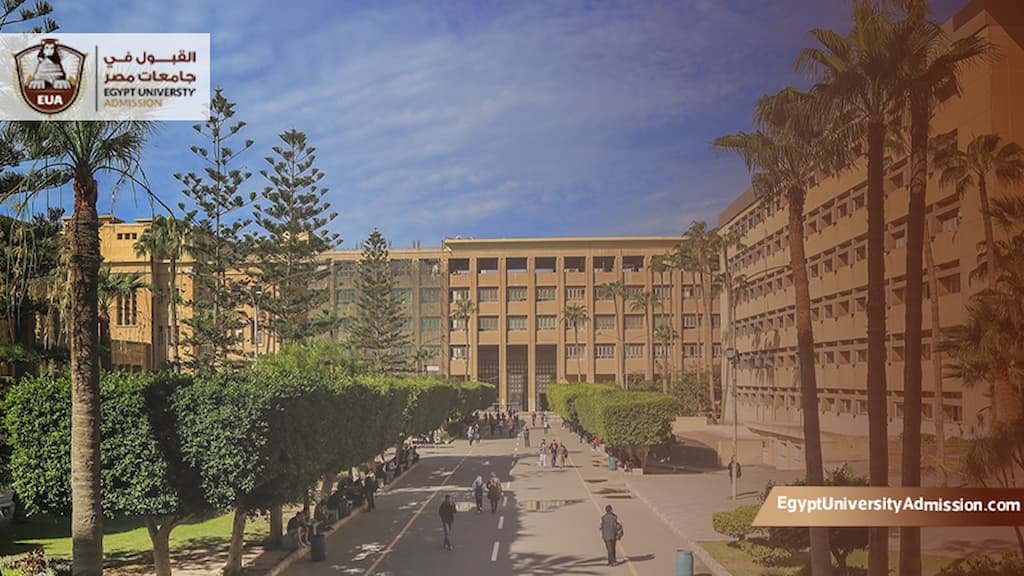 ترتيب جامعة الإسكندرية عالميا في الطب