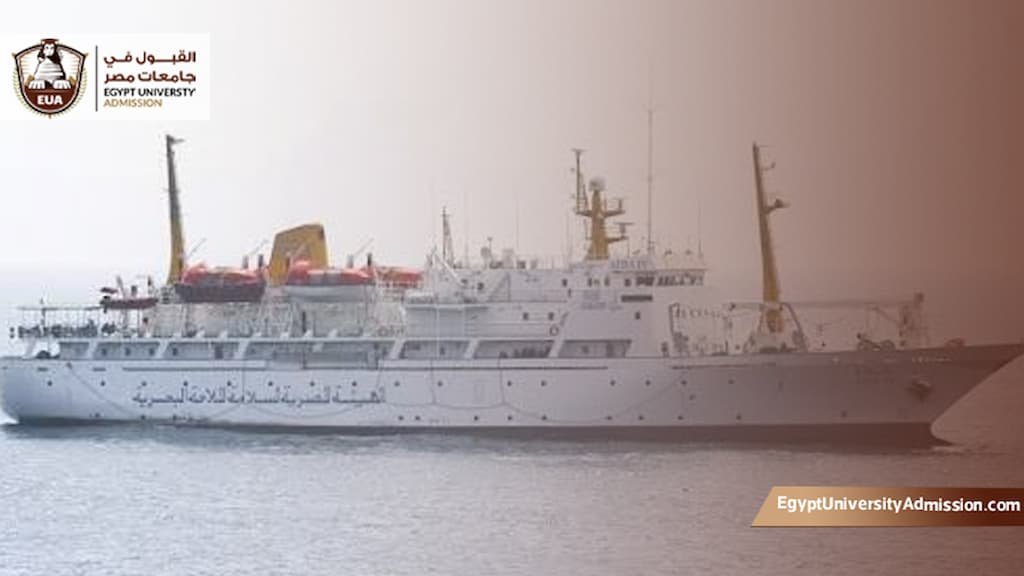 تكلفة دراسة الملاحة البحرية في مصر