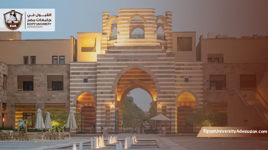 ماجستير الجامعه الامريكيه