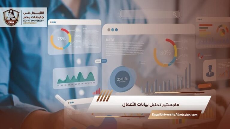 ماجستير تحليل بيانات الأعمال