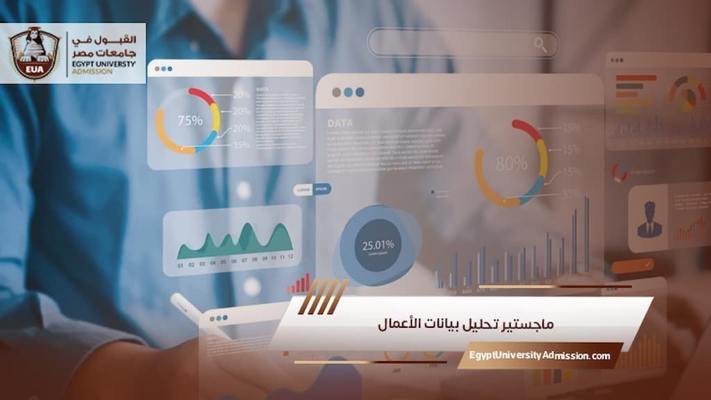 ماجستير تحليل بيانات الأعمال