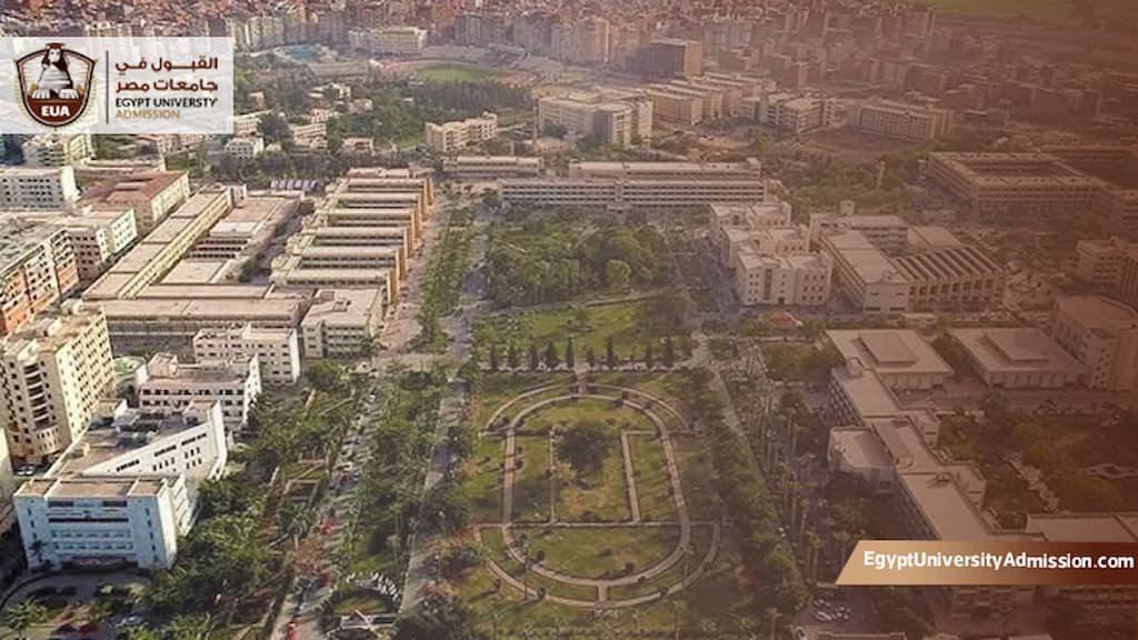 مصاريف صيدلة كلينيكال جامعة المنصورة الحكومية