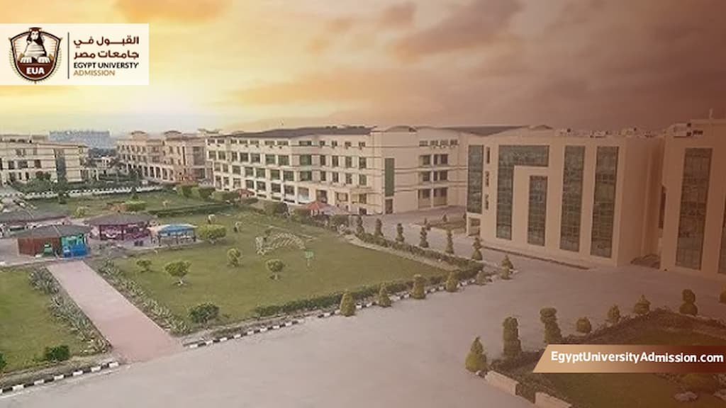مصاريف كلية العلوم الصحية التطبيقية جامعة الدلتا