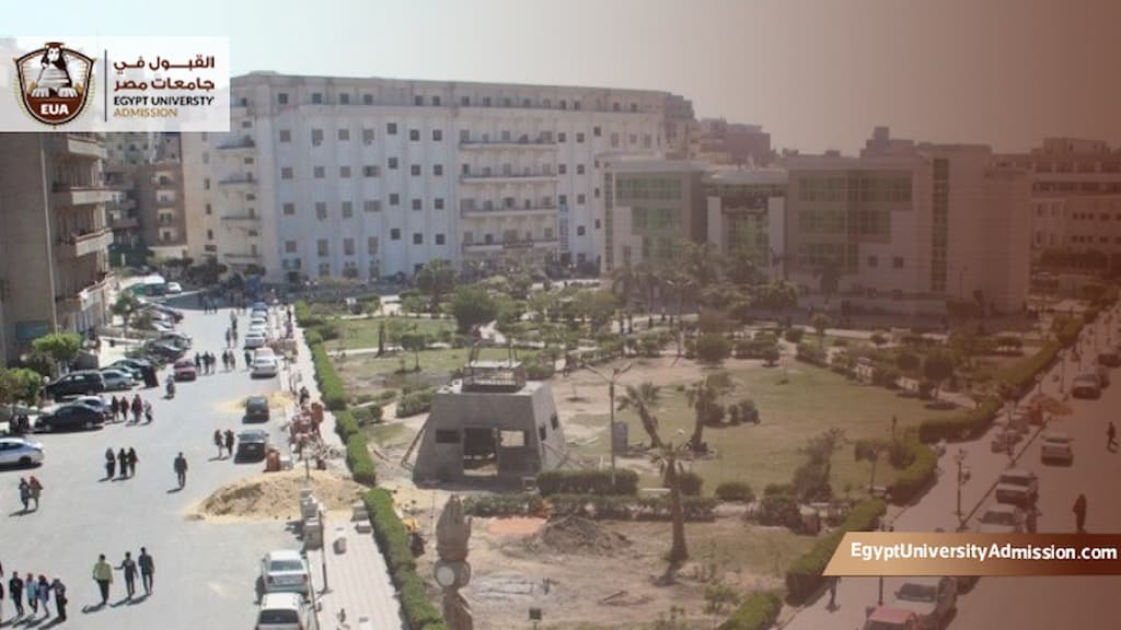 مصاريف كلية العلوم الطبية التطبيقية جامعة بني سويف