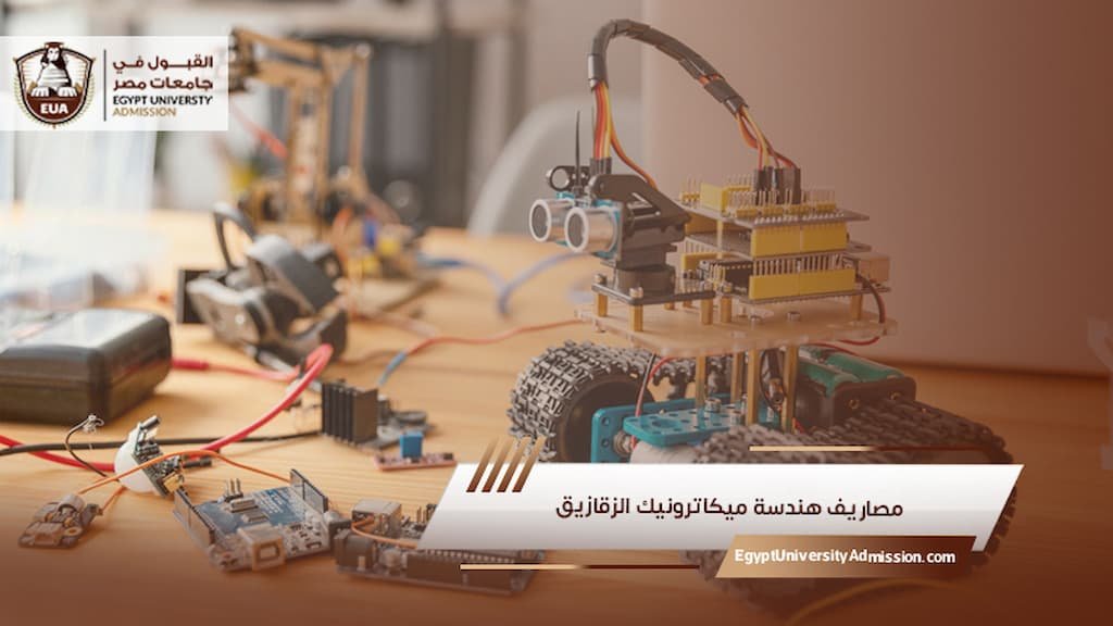 مصاريف هندسة ميكاترونيك الزقازيق