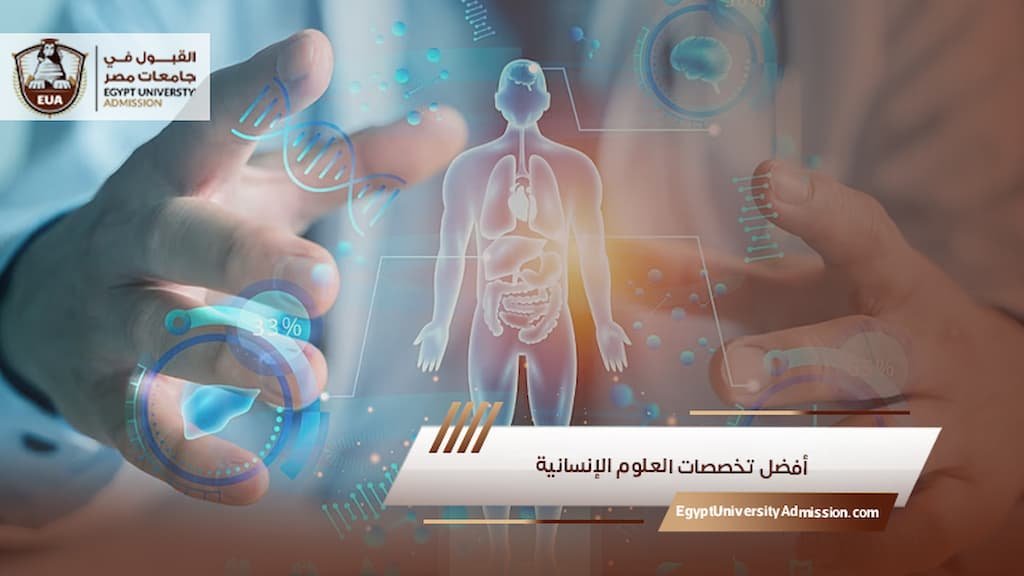 أفضل تخصصات العلوم الإنسانية