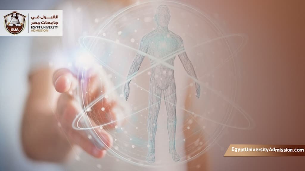 أفضل تخصصات العلوم الإنسانية