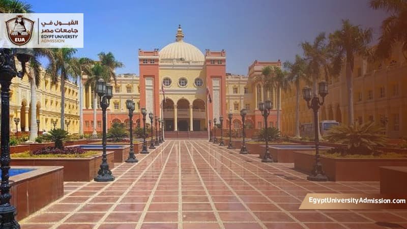 الدراسات العليا الجامعة البريطانية في مصر