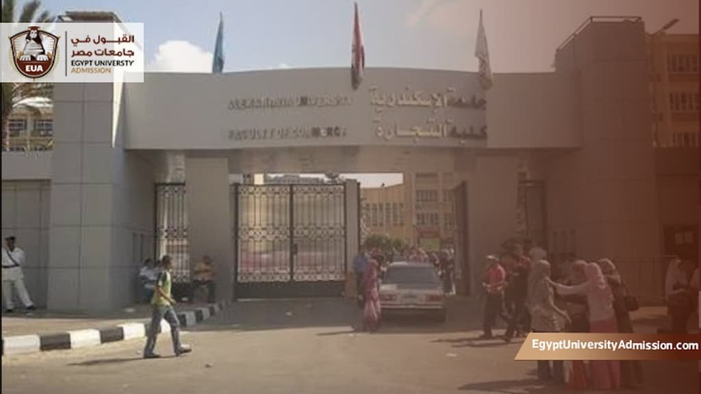 الدراسات العليا كلية التجارة جامعة الاسكندرية
