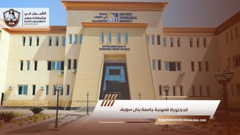 الدكتوراة المهنية جامعة بنى سويف